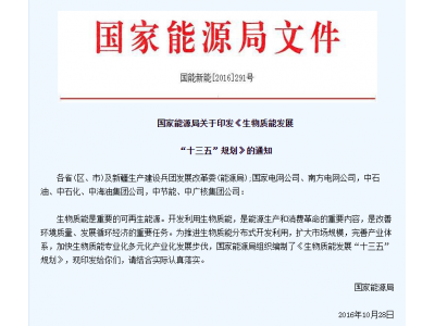 2020年，國(guó)家對(duì)新能源的扶持力度只增不減，4.2億專項(xiàng)資金預(yù)算已下達(dá)